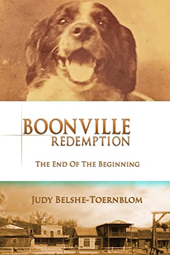 9781517230081: Boonville Redemption: The End of the Beginning