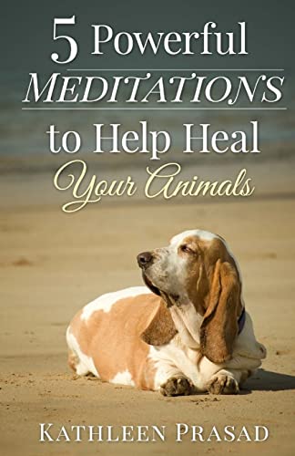 9781517360528: 5 Powerful Meditations to Help Heal Your Animals
