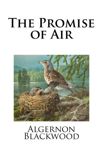 9781517407476: The Promise of Air