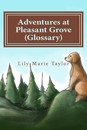 Stock image for Adventures at Pleasant Grove (Glossary) for sale by THE SAINT BOOKSTORE