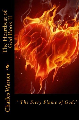 Beispielbild fr The Heartbeat of God Book II: The Fiery Flame of Love zum Verkauf von THE SAINT BOOKSTORE
