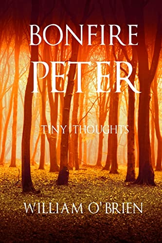 Beispielbild fr Bonfire Peter: (Peter: A Darkened Fairytale, Vol 13) zum Verkauf von Lucky's Textbooks