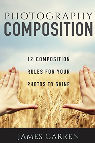 Beispielbild fr Photography Composition: 12 Composition Rules for Your Photos to Shine zum Verkauf von Revaluation Books