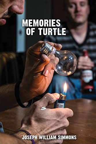 9781517771607: Memories of Turtle