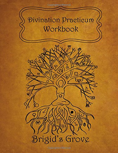 9781517783549: Divination Practicum Workbook