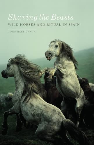 Stock image for Shaving the Beasts: Wild Horses and Ritual in Spain for sale by GF Books, Inc.