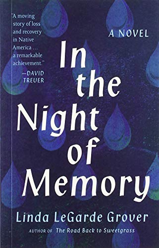 Stock image for In the Night of Memory A Novel for sale by PBShop.store US