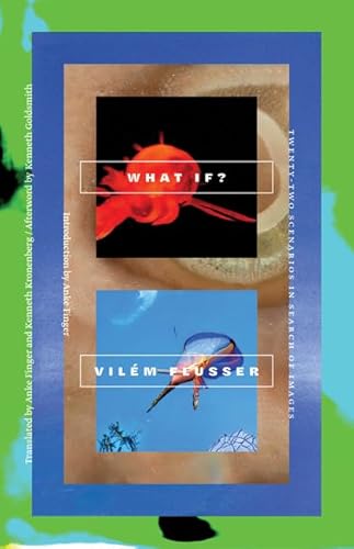 Imagen de archivo de What If? - Twenty-Two Scenarios in Search of Images a la venta por PBShop.store UK