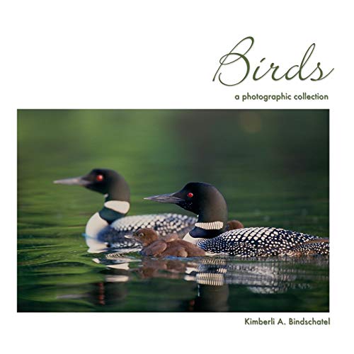 Stock image for Birds: a photographic collection for sale by Lucky's Textbooks