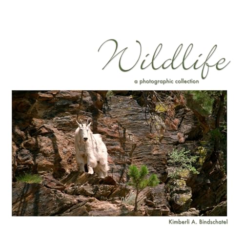 Stock image for Wildlife: a photographic collection for sale by Lucky's Textbooks