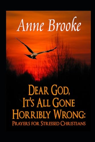 9781518719363: Dear God, It's All Gone Horribly Wrong: Prayers for Stressed Christians