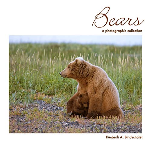 Stock image for Bears: A Photographic Collection for sale by THE SAINT BOOKSTORE