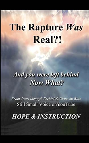 Stock image for The Rapture Was Real: And You Were Left Behind, Now What for sale by ThriftBooks-Dallas