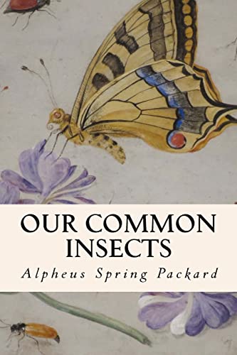 Imagen de archivo de Our Common Insects a la venta por Lucky's Textbooks