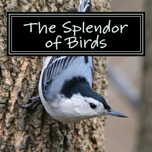 9781519317766: The Splendor of Birds: A Picture Book for Seniors, Adults with Alzheimer's and Others: Volume 5 (Picture Books for Seniors, Alzheimer's Patients, ... Reading Trouble and Others; A 'No Text' Book)