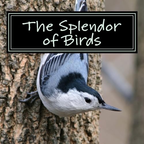 Stock image for The Splendor of Birds: A Picture Book for Seniors, Adults with Alzheimer's and Others (Picture Books for Seniors, Alzheimer's Patients, Adults with Reading Trouble and Others; A 'No Text' Book) for sale by SecondSale