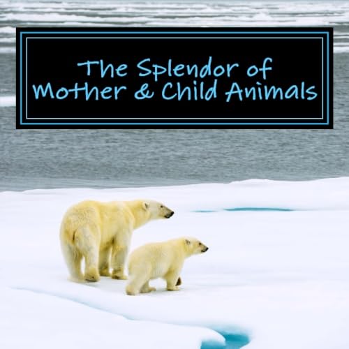 Stock image for The Splendor of Mother Child Animals: A Picture Book for Seniors, Adults with Alzheimers and Others for sale by Zoom Books Company