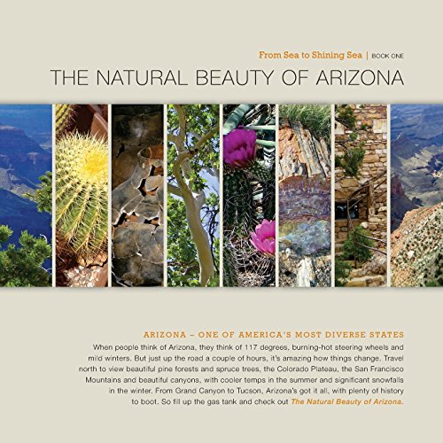Stock image for The Natural Beauty of Arizona for sale by Revaluation Books