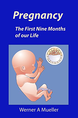Stock image for Pregnancy: The First Nine Months of our Life for sale by medimops
