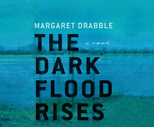 9781520065427: The Dark Flood Rises: A Novel