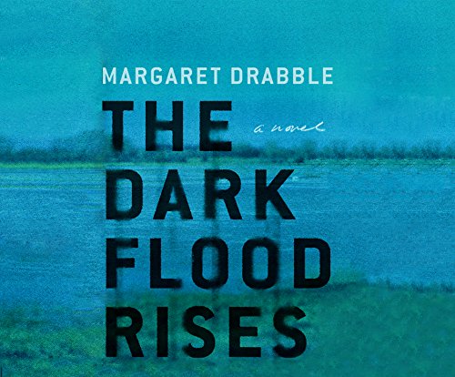 Beispielbild fr The Dark Flood Rises: A Novel zum Verkauf von SecondSale