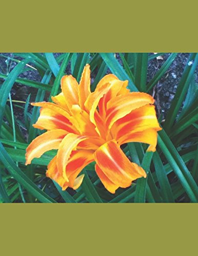 Stock image for o poeta e a sua flor amarela for sale by Revaluation Books