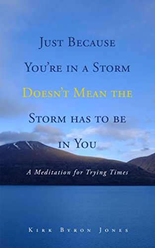 Stock image for Just Because You're in a Storm Doesn't Mean the Storm has to be in You: A Meditation for Trying Times for sale by Revaluation Books