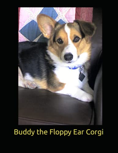 Beispielbild fr Buddy The Floppy Ear Corgi zum Verkauf von GreatBookPrices