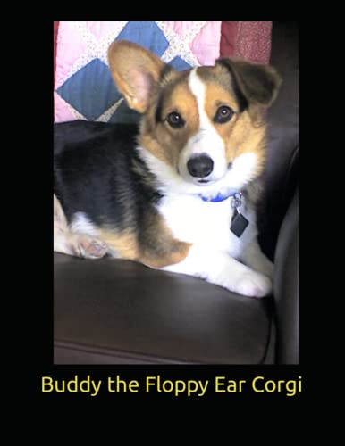 Stock image for Buddy The Floppy Ear Corgi (Buddy Books) for sale by Your Online Bookstore