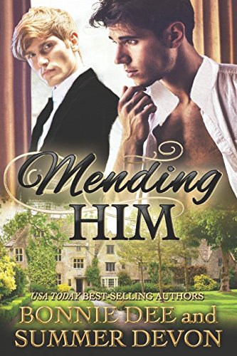 Stock image for Mending Him for sale by Revaluation Books