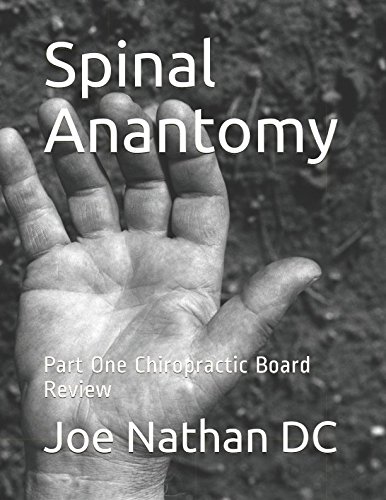 Stock image for Spinal Anantomy: Above Down Part 1 Chiropractic Board Review for sale by Revaluation Books