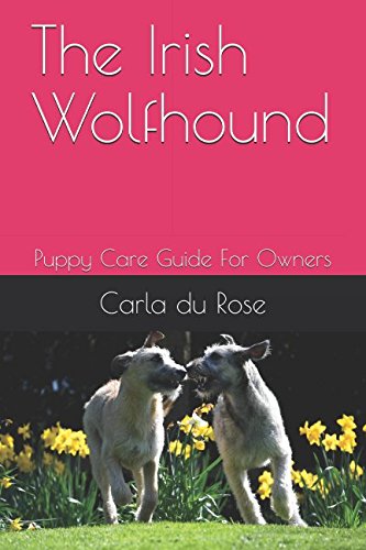 Beispielbild fr The Irish Wolfhound: Puppy Care Guide For Owners zum Verkauf von WorldofBooks