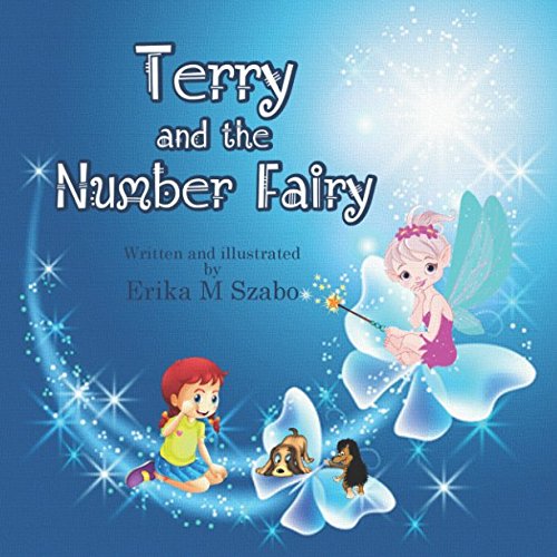 Imagen de archivo de Terry And The Number Fairy a la venta por Revaluation Books