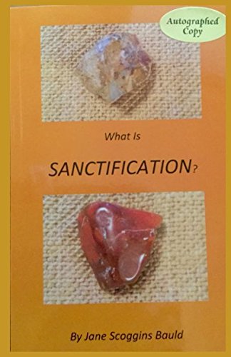 Stock image for What Is Sanctification? for sale by Revaluation Books