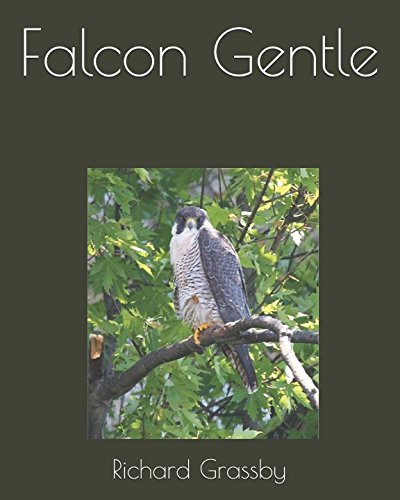 Stock image for Falcon Gentle for sale by Revaluation Books