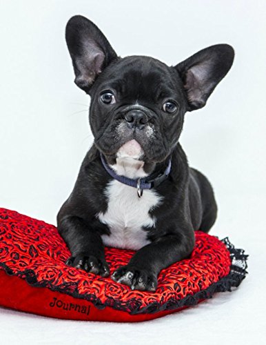 Stock image for Journal: French Bulldog A4 for sale by Revaluation Books