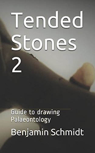 Beispielbild fr Tended Stones II: Tended Stones II zum Verkauf von Revaluation Books