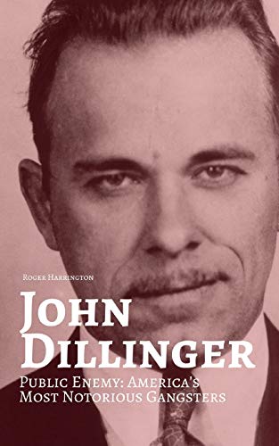 Stock image for John Dillinger : Public Enemy: Americas Most Notorious Gangsters for sale by Better World Books