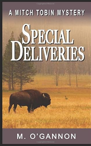 Stock image for Special Deliveries (Mitch Tobin Mystery) for sale by Isle of Books