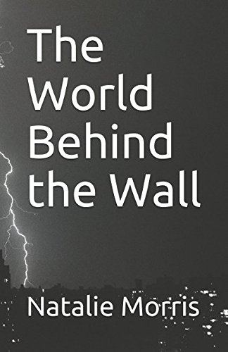 Stock image for The World Behind the Wall for sale by Revaluation Books
