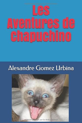 Stock image for Les Aventures de Chapuchino for sale by Revaluation Books