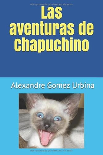 Stock image for Las aventuras de Chapuchino for sale by Revaluation Books
