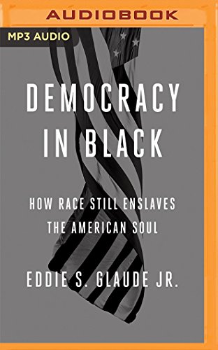 9781522634942: Democracy in Black