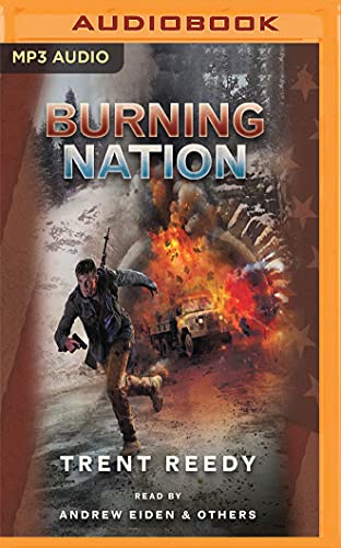 9781522651734: Burning Nation (Divided We Fall, 2)