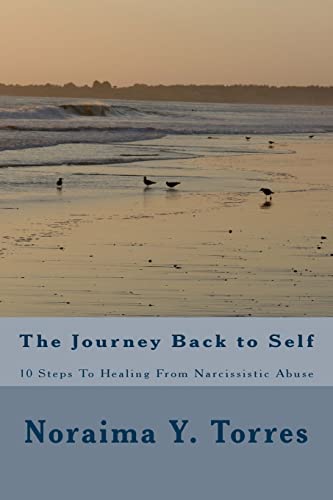 9781522842729: 10 Steps to Healing after Narcissistic Abuse