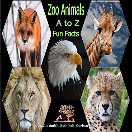 9781522982777: zoo Animals: A to Z (Bright)