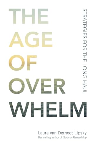 Stock image for The Age of Overwhelm: Strategies for the Long Haul for sale by SecondSale