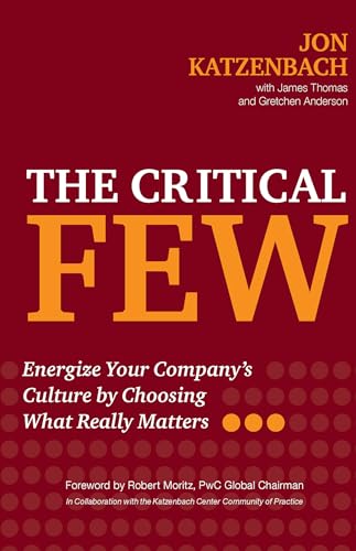 Imagen de archivo de The Critical Few: Energize Your Company's Culture by Choosing What Really Matters a la venta por New Legacy Books