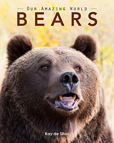 Beispielbild fr Bears: Amazing Pictures & Fun Facts on Animals in Nature zum Verkauf von ThriftBooks-Atlanta