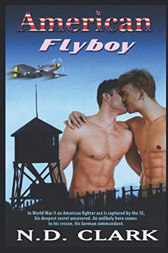 Stock image for American Flyboy for sale by Revaluation Books